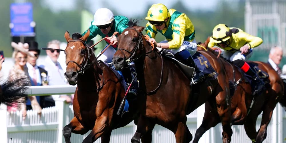 York trip could be on the Horizon for Dore