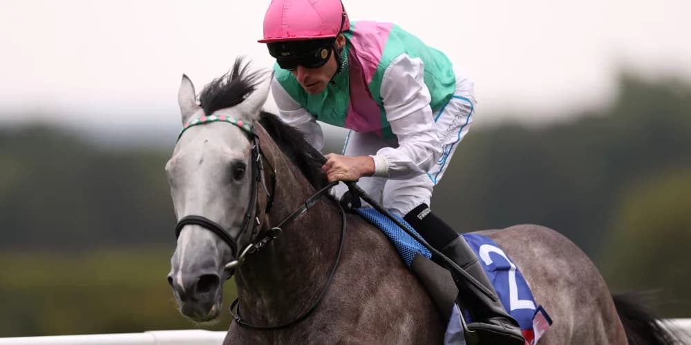 Field of Gold camp deliberating on the 'exciting colt's' next move