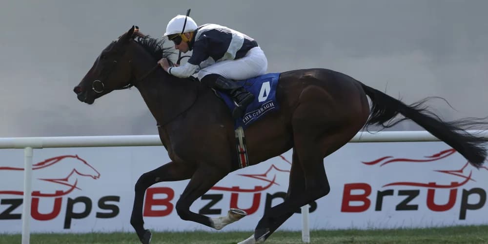 "Dreamy’s Perfect Career Start Rolls On with Latest Win"