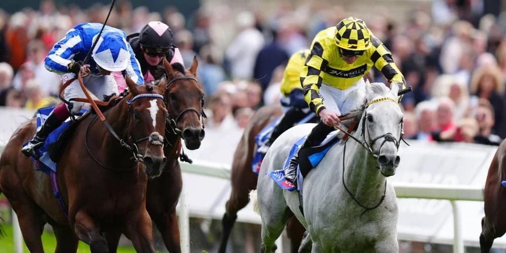 Shadow Dance confirms he is back on track