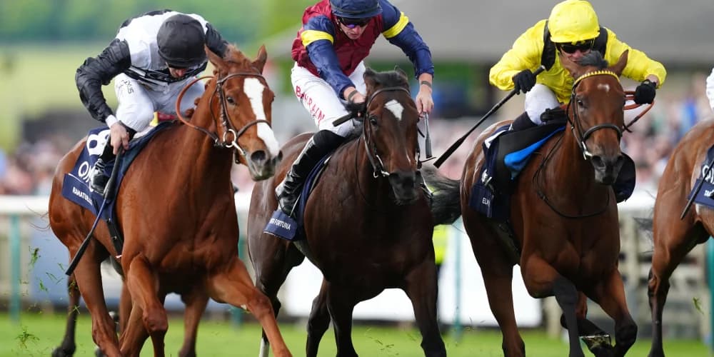 Ramatuelle booked in for Foret action