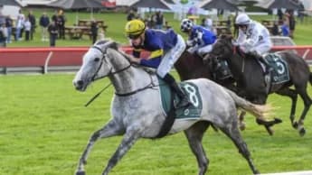 White Marlin Nears Comeback After 18-Month Injury Layoff