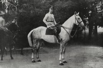 Bold Ruler: An Icon of Thoroughbred Racing Legacy