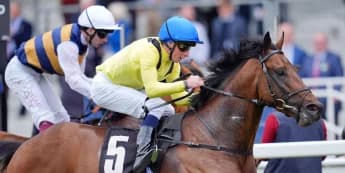 ParisLongchamp marked out as plan for Quddwah