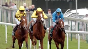 The Three Hundred: A Rising Star in the Spring Stakes