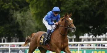 Elegant young fillies scheduled for a May Hill repeat