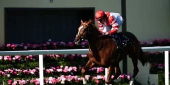 Hand Of God scores Golden Gates winner for Harry Charlton