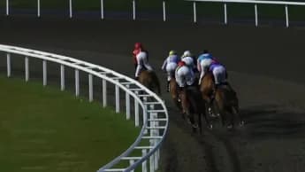 Unprecedented Race Incident at Chelmsford: Stalls Stranded