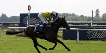 Ambiente Friendly in fine form ahead of Irish Derby date