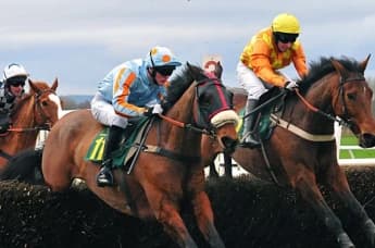 Vibrant Sun Eyes Empire Stakes as She Stays Among Mares at Caulfield