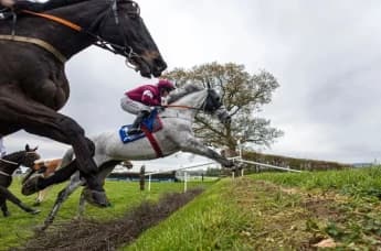 Historic Dead Heat at 150th Velká Pardubická as Two Horses Claim Victory