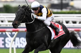 Price Confident 2400m Will Spark a Revival for Warmonger in the Caulfield Cup