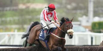 Cheltenham Star The Real Whacker Poised for Redemption at Guinness Kerry National