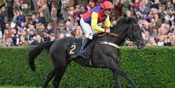 Race Day at Wincanton Raises Over £100,000 in Tribute