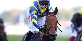 Doyle has fingers crossed Trueshan finally gets to go for gold