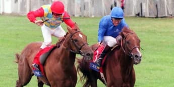 Dual Eclipse hero Halling hailed as ‘one of the best’ by Bin Suroor