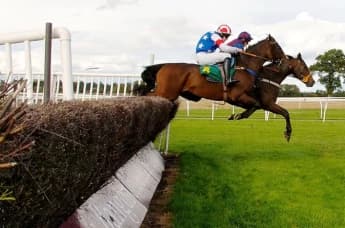 Bangor-on-Dee Racecourse: History, Features, and Management