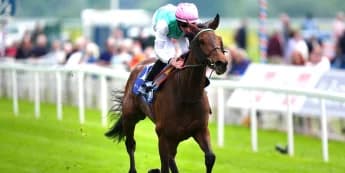 Bluestocking pounces on Emily Upjohn for Pretty Polly glory