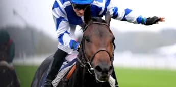 Guarnieri pencils in Deauville date for Big Rock