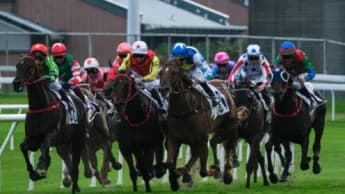 Sha Tin Racecourse Targets Young Audiences with New Initiatives