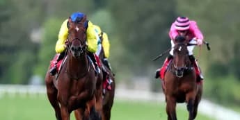 Almaqam team yet to make Royal Ascot call