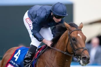 City Of Troy Sets Sights on Breeders’ Cup Classic After Record-Breaking Victory