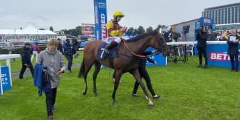 Generation game for one more Challenge this term