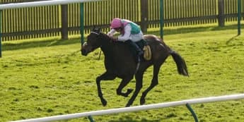 If Kempton wins, Kalpana can arrange a Champions Day excursion.