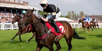 Alfa Kellenic Defies the Odds to Claim Sixth Consecutive Victory at Ayr