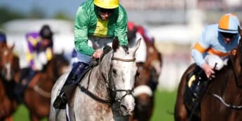 Belloccio could be set for Supreme adventure after hurdling return at Galway