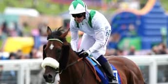 Winter Break Looms for Deira Mile After St Leger Fourth, Arc Bid Still Possible