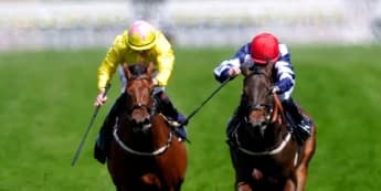 Nicholls eyeing six-furlong switch for Maw Lam