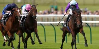 Cox Hopes for Dry Conditions for Ghostwriter’s International Run