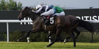 Dreamy start at Goodwood for O’Brien newcomer