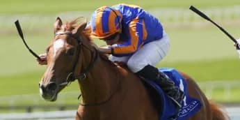 "Ballet Slippers Dances to Victory at Ascot"