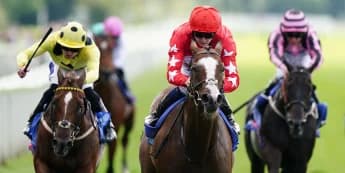 Spirit Dancer is scheduled for a Newmarket run before to her Middle East adventure.