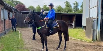 Henry Dwyer savouring Royal Ascot experience with Asfoora