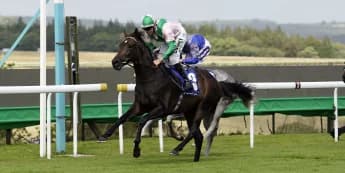 Charlie Hills Sends Two Contenders to Kentucky Downs for Graded Races