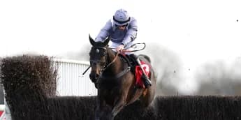 Il Est Francais limbering up for seasonal return