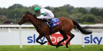 Menuisier has Group One mile double in mind for Tamfana