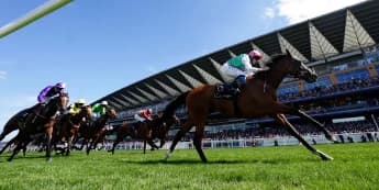 Juddmonte suffer loss of leading mare Laurel