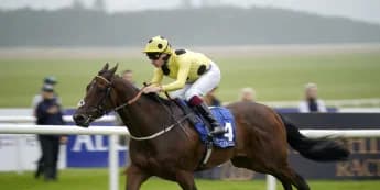 Poet Master leads the way for Burke in Minstrel Stakes