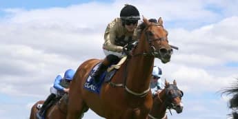 Osborne fears handicapper now has Ouzo in his grip