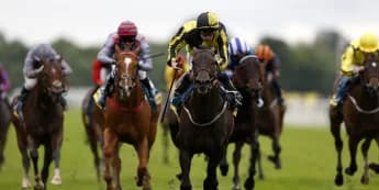 James’s Delight for Clive Cox team in big York sprint