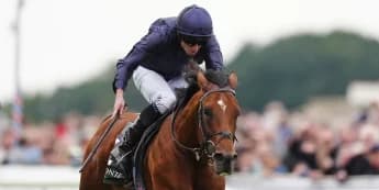 Aidan O'Brien Prepares City Of Troy for Breeders' Cup Quest