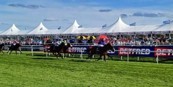 Jan Brueghel digs deep to give O’Brien an eighth St Leger