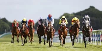 Iron Lion enters Ebor reckoning with taking Haydock success