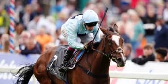 Scenic viewed as leading Park Hill contender by Walker