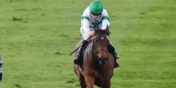 Goodwood and Paris enter Tamfana equation