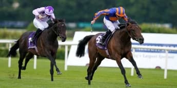 Portland in line for Royal Ascot after game Leopardstown win
